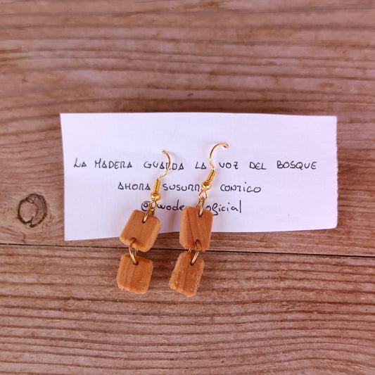 Pendientes Woden