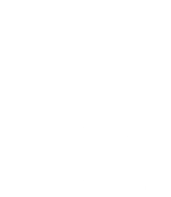 SerViArteshop