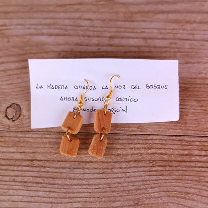 Pendientes Woden